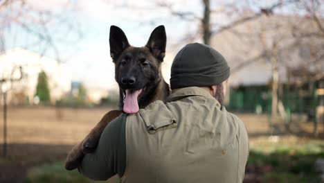 Unrecognizable-trainer-holding-a-young-German-Shepherd-on-hands-and-walk