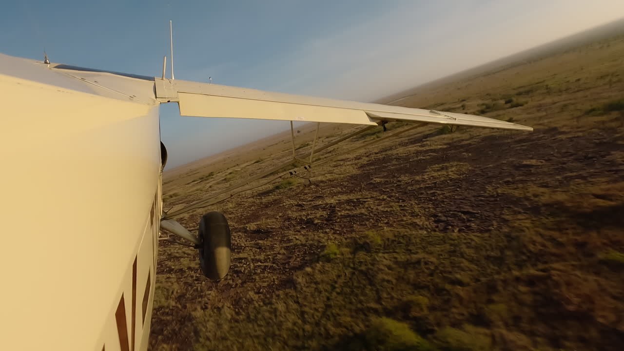 Kleines Flugzeug in Seitenansicht über grasbewachsenen Sträuchern