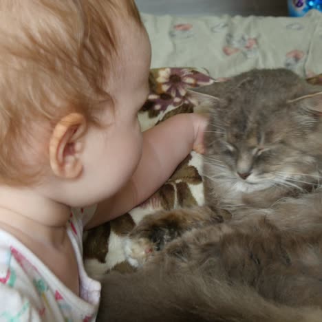 cute baby girl with cat
