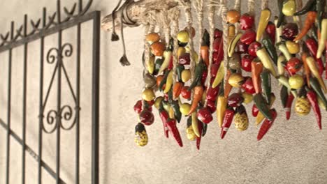 hanging chili peppers in downtown santa fe, new mexico with pan to street