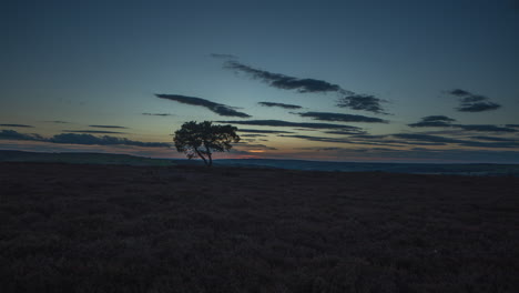 egton bridge timelapse - lone tree on moors