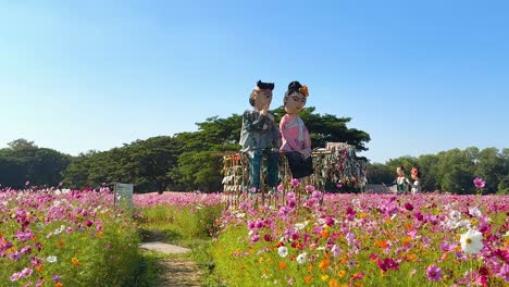 art installation of couple scarecrows in a cosmos flower field