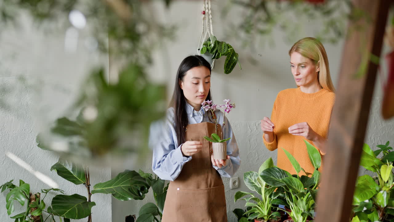 여자 와 소녀 가 정원 센터 에서 오키디 식물 에 대해 이야기 하고 있다