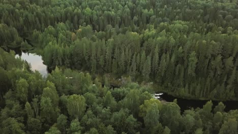 aerial footage of a forest from height of a drone, kivach waterfall