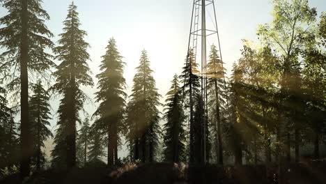 Typical-Old-Windmill-turbine-in-forest-at-sunset