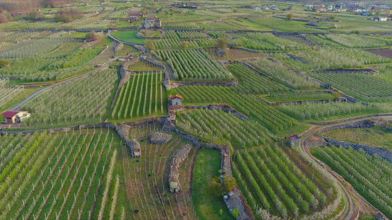 fotografías aéreas de varios cultivos agrícolas