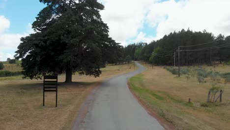 un camino tranquilo que serpentea a través de un paisaje pacífico y sereno, ideal para un viaje relajante