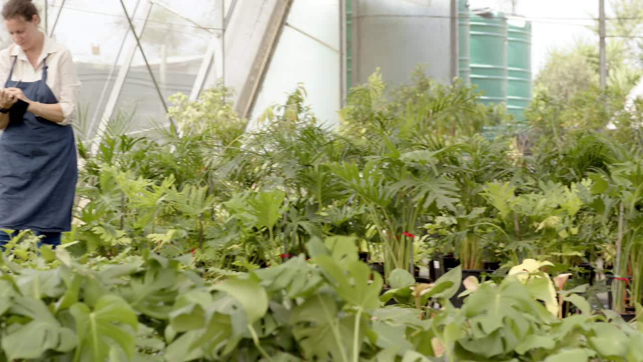 Woman in apron using smartphone while inspecting plants in greenhouse nursery