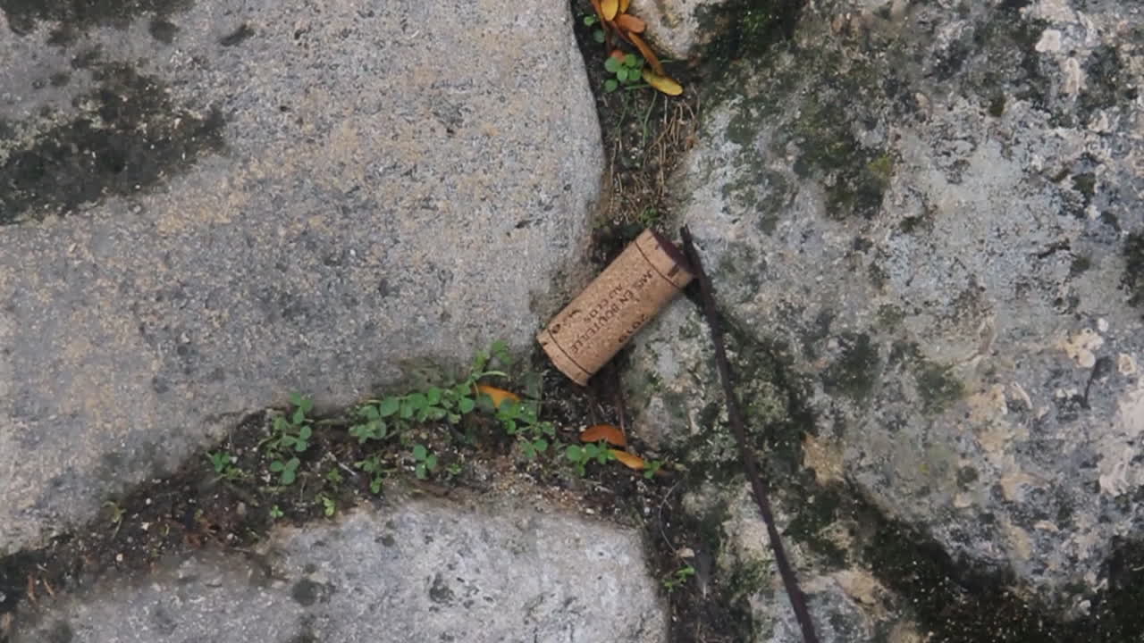 Wine cork on stone ground