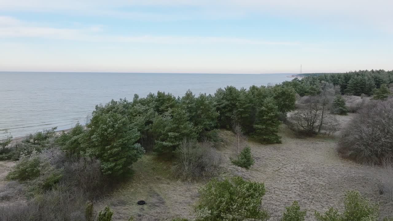 Splendida vista aerea panoramica della costa del Mar Baltico, giornata invernale coperta, spiaggia tranquilla con sabbia bianca, pineta, erosione costiera, cambiamenti climatici, ampia ripresa con drone che avanza