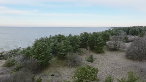 beautiful aerial establishing view of baltic sea coast, overcast winter day, calm beach with white sand, pine tree forest, coastal erosion, climate changes, wide drone shot moving forward