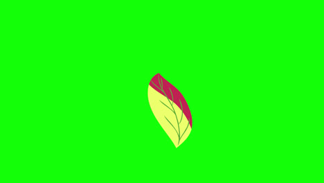 plant-leaf-tree-leaves-flying-on-wind-icon-loop-Animation-video-transparent-background-with-alpha-channel