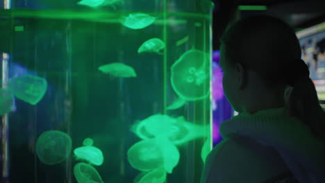 un niño mira a las medusas en un acuario