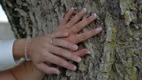 slow motion shot of a newly married couples wedding bands on their hands