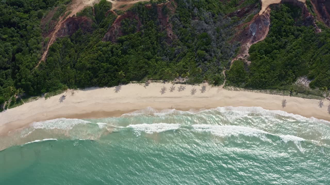 Extreme wide aerial drone bird's eye top view of the famous tropical Coqueirinhos beach in Paraiba, Brazil with colorful cliffs covered in exotic plants and palm trees, golden sand and turquoise water