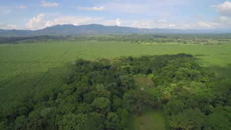 An-aerial-shot-of-the-Mayan-ruins-of-Quirigua