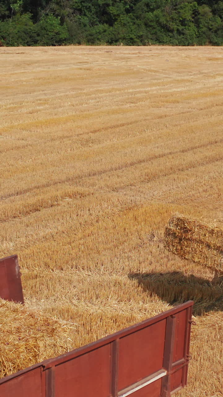 Tractor wheat farming landscapes. Agronomy farmland fields. Vertical video