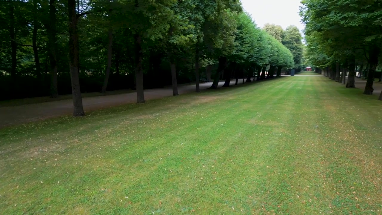 Vidéo drone 4K aérienne des allées bordées d'arbres du jardin Hofgarten au centre-ville d'Ansbach, Allemagne