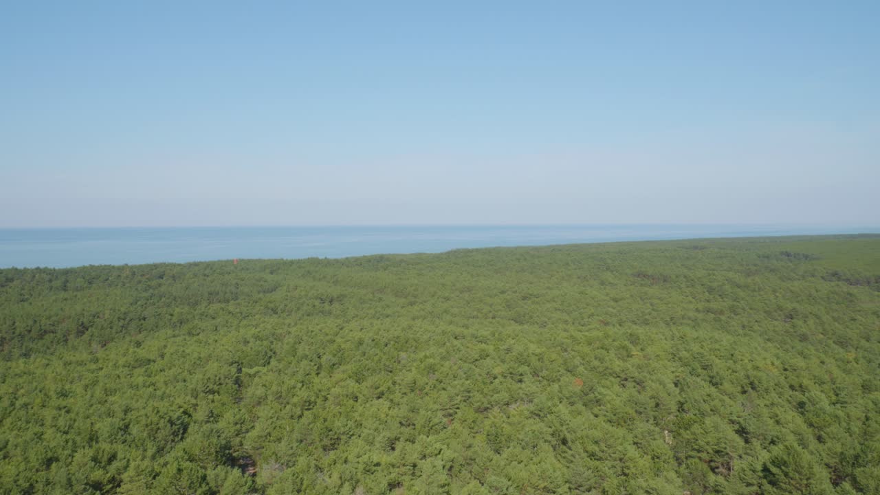 una vista panorámica desde la parte superior del faro de stilo, con vistas al bosque verde exuberante y al mar, mezclando la belleza de la naturaleza con el paisaje marítimo