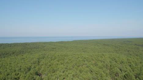 Una-Vista-Panorámica-Desde-Lo-Alto-Del-Faro-De-Stilo,-Con-Vistas-Al-Frondoso-Bosque-Verde-Y-Al-Mar,-Fusionando-La-Belleza-De-La-Naturaleza-Con-El-Paisaje-Marítimo