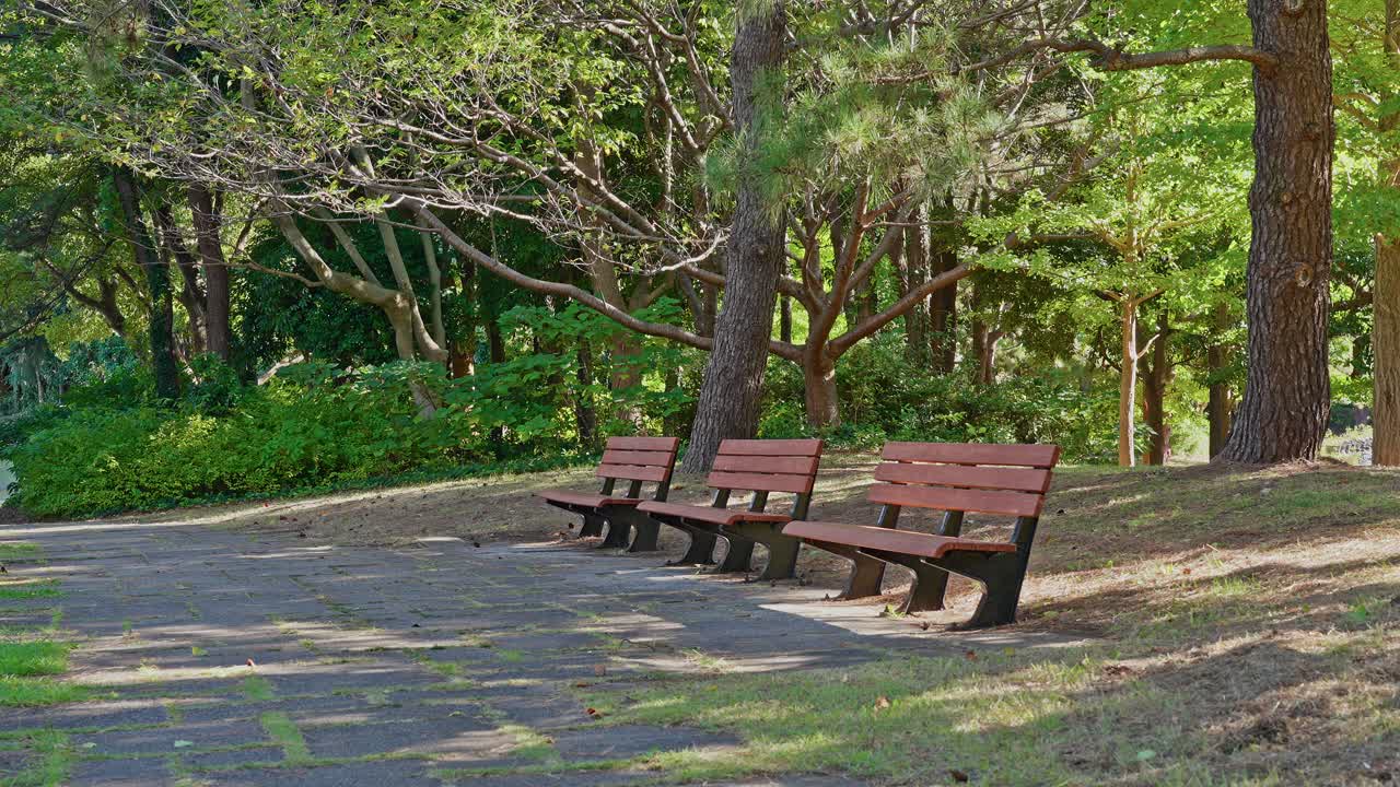 Three empty park benches sit along a paved path, surrounded by green trees and grass on a bright, peaceful day