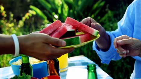 family having slice of watermelon in park 4k