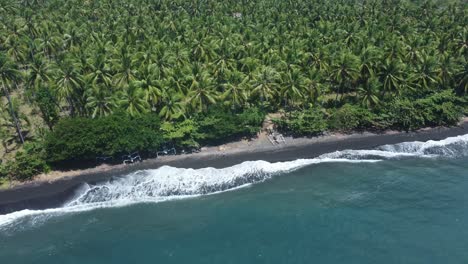 secret oasis: aerial 4k drone view of a lone girl wandering the untouched black sand beach in gretek, bali