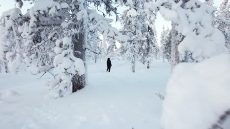 Drone-Flys-Closely-Between-Trees,-Towards-A-Girl-Walking-In-Winter-Wonderland-In-Lapland,-Finland,-Arctic-Circle