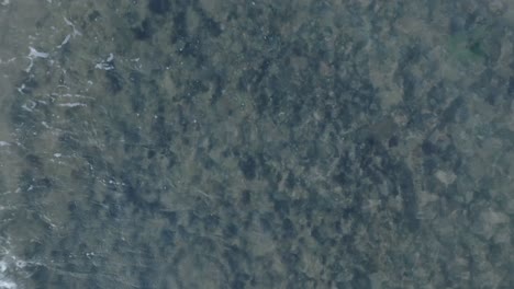 top down descending drone shot over dead coral reef under shallow water in tropical balangan beach uluwatu bali indonesia