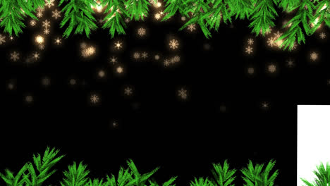 Animation-of-fir-tree-frame-over-snow-falling