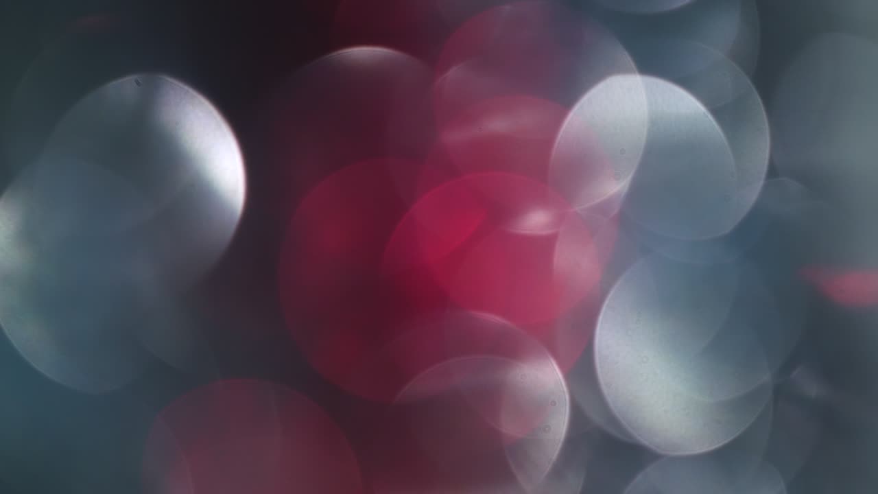 rojo real un blanco macro bokeh para superponer su película 4k