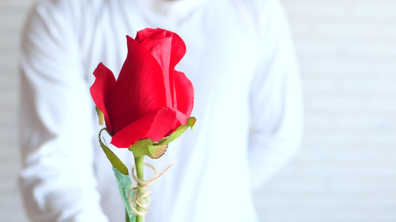 빨간 장미 선물