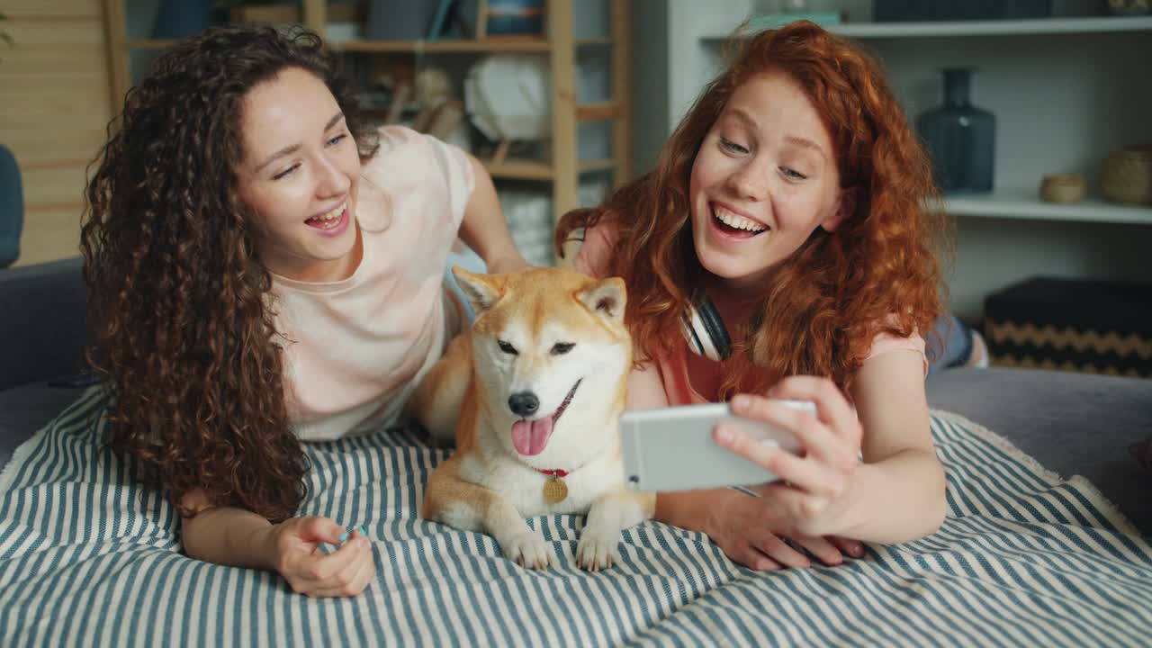 사파에 있는 스마트폰을 사용하여 귀여운 개와 함께 셀피를 찍는 예쁜 소녀들