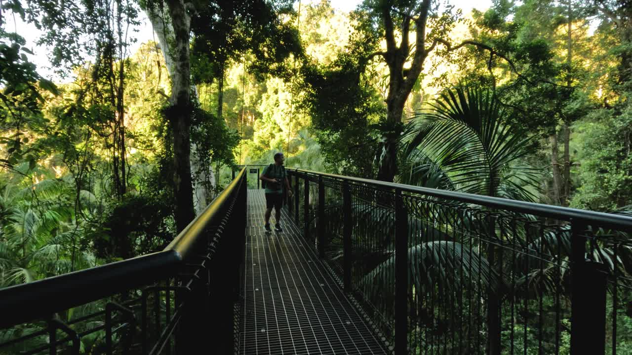 높은 숲의 산책로를 고 있는 사람