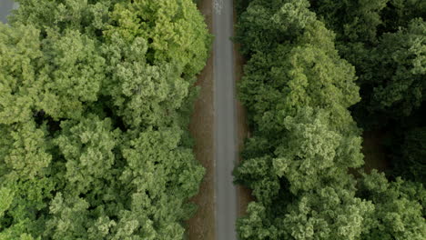 Cycling-Asphalt-Road-Through-lUsh-Green-Park---Top-Down-View