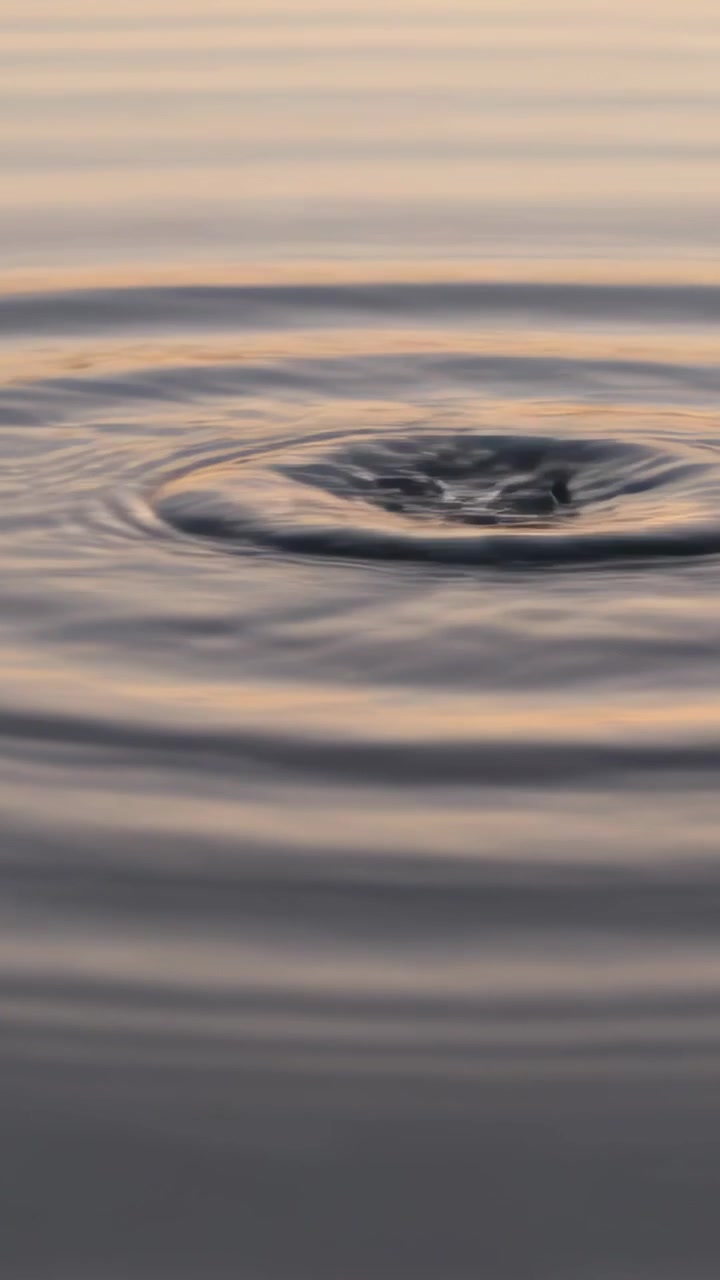 Video verticale: Mostra increspature che si irradiano da un sasso sulla superficie del lago mentre una piccola protuberanza emerge.