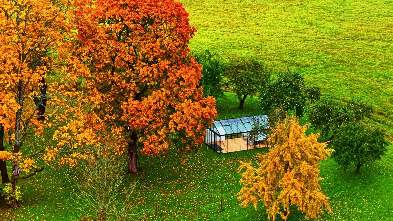 Aerial drone reveal of glass greenhouse surrounded by autumn forest trees in golden light near open fields