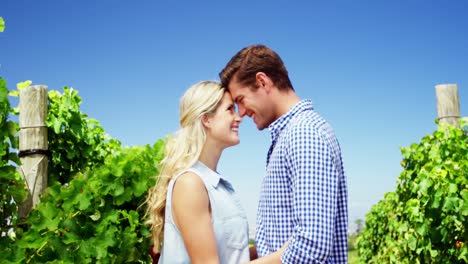 romantic couple standing in vineyard