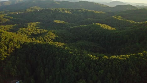 Panorama-Denso-Bosque-Verde,-Grandes-Montañas-Humeantes-En-Los-EE.UU.,-Antena-Del-Amanecer