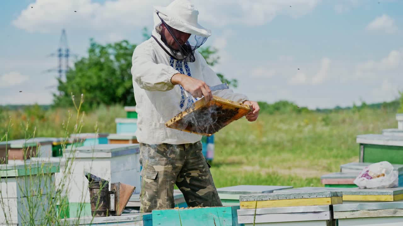 Beekeeper at work. Frames of a bee hive. Apiary concept