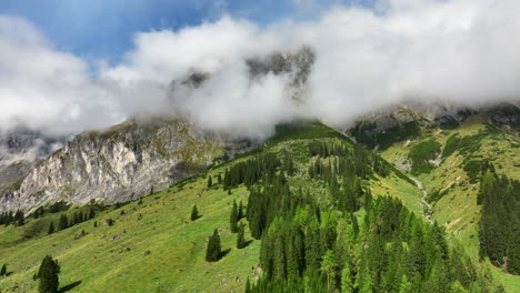 panoramic aerial shot of austria's timbered mountaintop