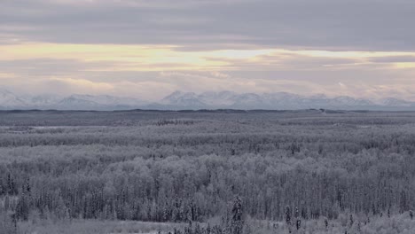 Untouched-Alaska-forest-covered-with-snow,-mountains-in-the-distance,-Anchorage
