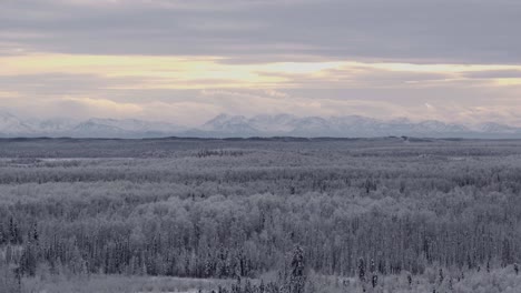 untouched alaska forest covered with snow, mountains in the distance, anchorage