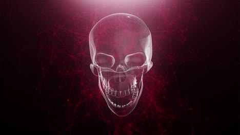 3d wireframe skull on red background