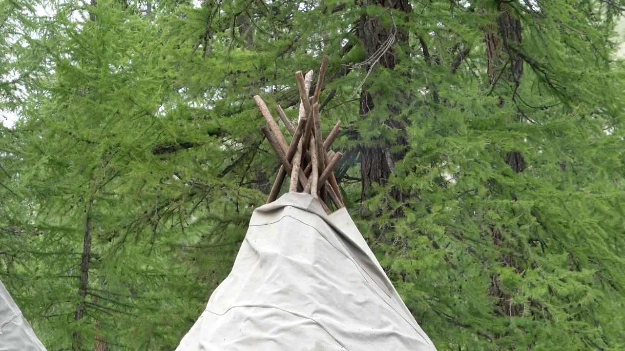 Smoke Rising from the Top of a Teepee in a Forest