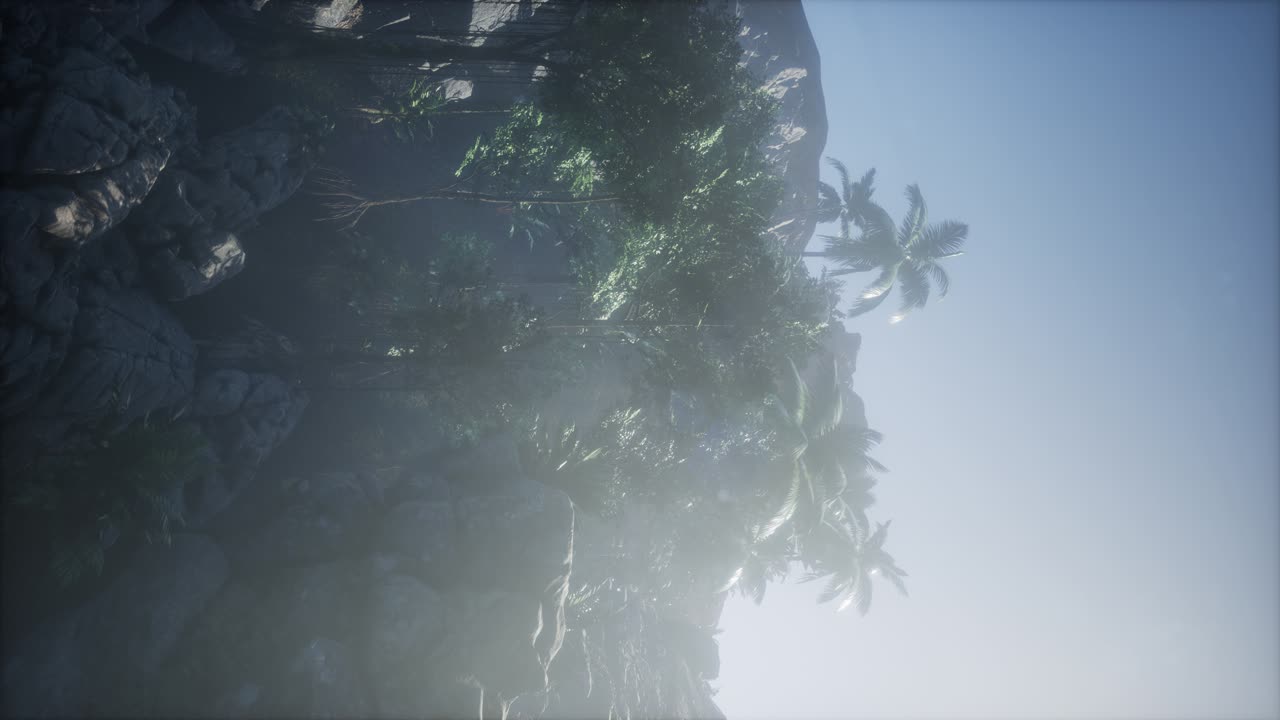 los rayos del atardecer a través de las palmeras