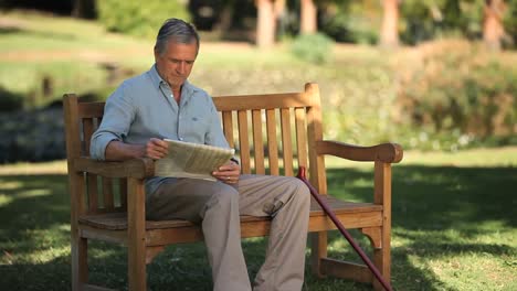 senior man reading a book sitting on a bench