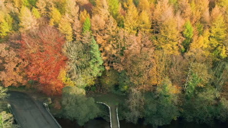 Páramos-Del-Norte-De-York,-Yorkshire,-Imágenes-De-Drones-River-Esk,-Vuelo-Sobre-El-Puente-De-Los-Mendigos-Glaisdale,-árboles-Otoñales-Marrones-Y-Rojos,-Antena-Phantom-4---Clip-De-Otoño-11