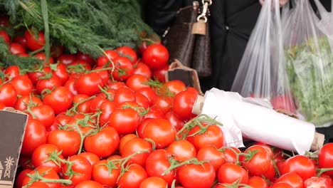 tomates frescos en un mercado de agricultores