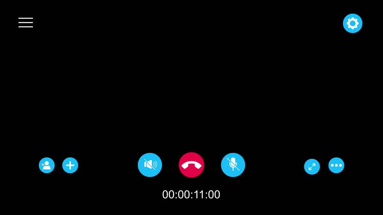 Video Call Interface